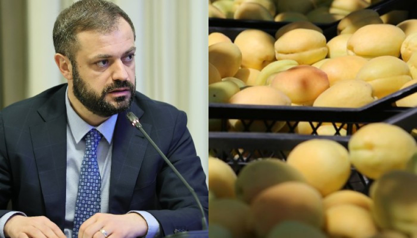 Հունիսի 1-ից հուլիսի 7-ը Հայաստանից արտահանվել և ՌԴ է մտել ծիրանով բեռնված 1507 բեռնատար. Պապոյան