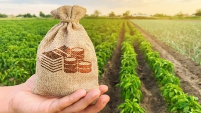 ԵԱՏՄ անդամ երկրների շարքում ՀՀ–ն առաջատար է գյուղմթերքի արտադրության մակարդակով