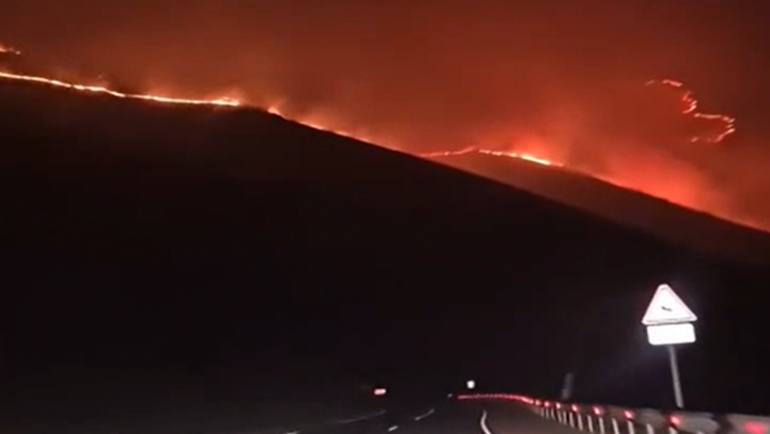 Կրակը վերահսկելի է. ՆԳՆ–ն նոր մանրամասներ է հաղորդել Ճամբարակի հրդեհից