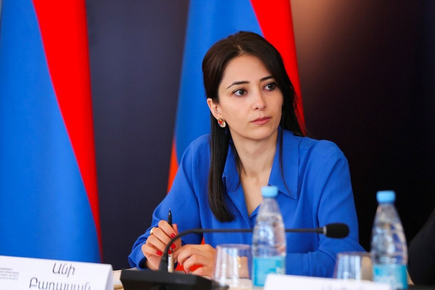 ՀՀ ԱԳ փոխնախարարը հստակ մերժել է երրորդ սուբյեկտի կողմից «վերահսկողության» եզրույթը․ պարզաբանում
