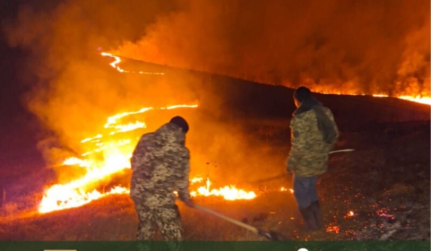 Թթուջուրում բռնկված հրդեհը շարունակվում է Դպրաբակի անտառպետության 6-րդ պահաբաժնի ուղղությամբ