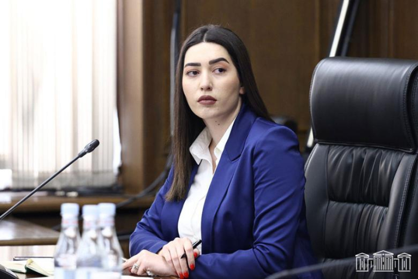 Թվային վարորդական վկայականի և տեխանձնագրի տարբերակն ընտրելու դեպքում պետական տուրքը կիսով չափ պակաս է․ ՆԳ նախարար