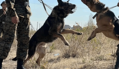 Իրանում հակաահաբեկչական զորավարժություններ կանցկացվեն