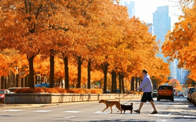 Օդի ջերմաստիճանն աստիճանաբար կբարձրանա. սպասվում է առանց տեղումների եղանակ