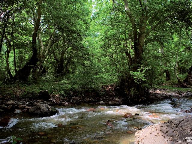 բնապահպանություն