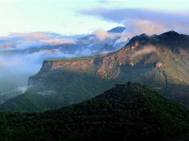 Առնիկա