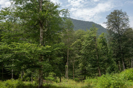  Հրազդան