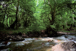 բնապահպանություն