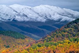 եղանակ