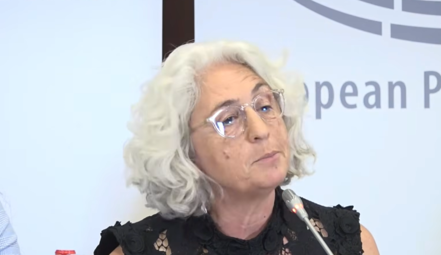 Պետական կառույցի աշխատողների վրա ճնշումներ են եղել՝ մասնակցելու իշխանության հավաքներին, մտահոգիչ է. ԵԱՀԿ դիտորդ