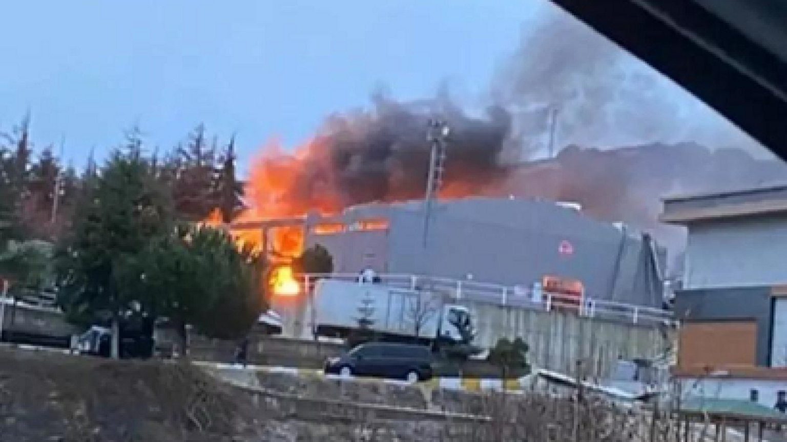 Թուրքիայում անտառային հրդեհ է բռնկվել